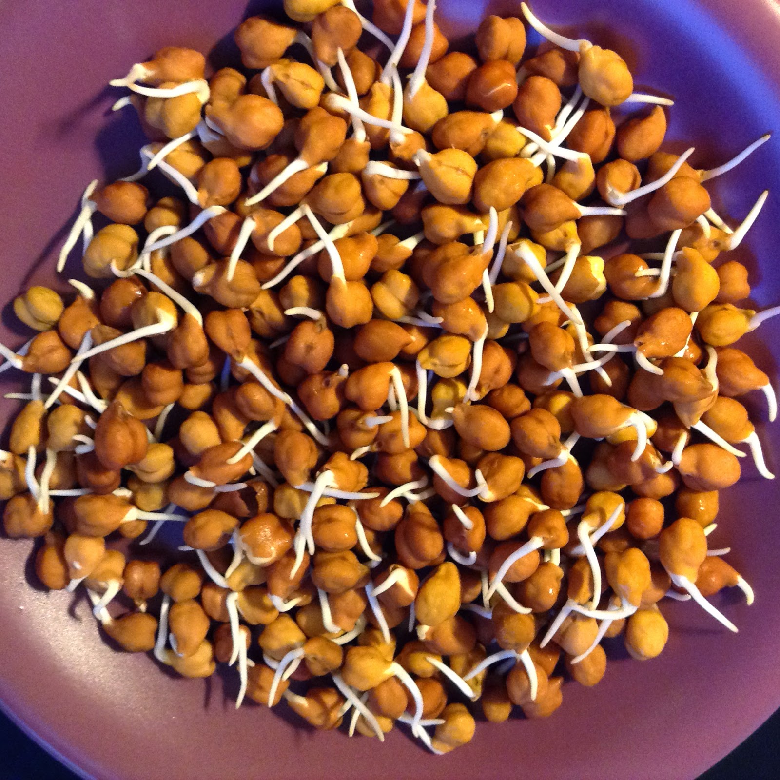Sprout Bag (Kala Chana) - Each