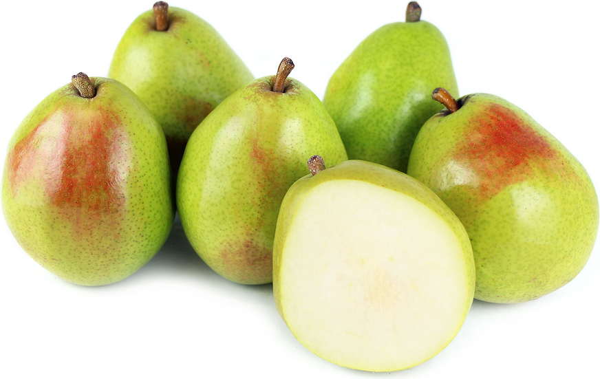 D'anjou Pear - Each