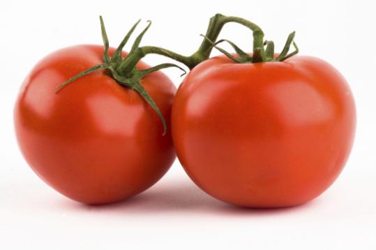 Tomato Regular - 1 LB