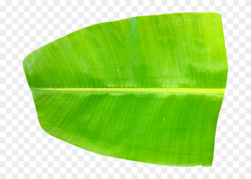 Fresh Banana Leaves - EACH