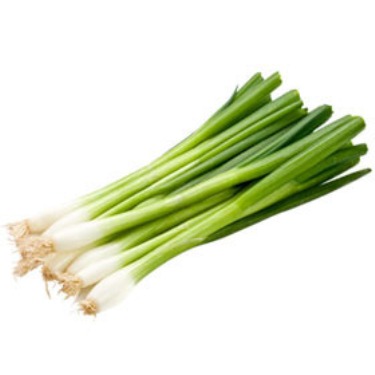 Green Onion - bunch