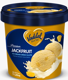 Vadilal Jackfruit Ice Cream - 500 ML