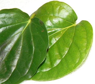Betel - Paan Leaves 5 pcs
