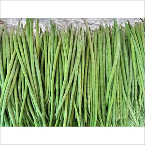 Fresh Drumstick (Each)