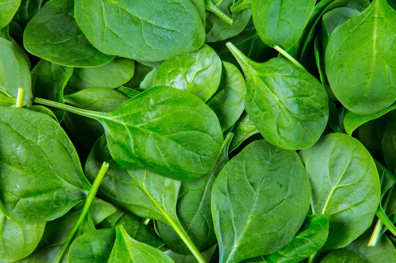 Baby Spinach - 6 Oz (170 Gm)