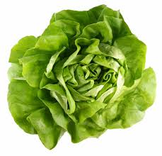 Lettuce - EACH