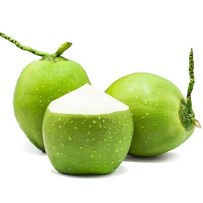 Green Coconut Whole - Each (No Return - No Refund)