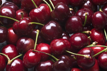 Fresh Red Cherries - 1 LB