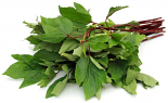 Fresh Gongura Leaves (BUNCH)