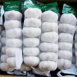 Garlic Bag -  bag