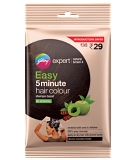 Godrej Expert Easy 5 Minute Shampoo Based Hair Colour - Natural Brown (20 ML)