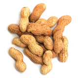 Home Made Fresh Roasted Peanuts - 1 LB