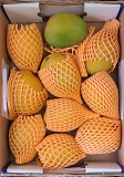 Indian Alphonso Mango (8-10 PCS) (BOX) (No Return - No Refund)