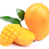 Indian Alphonso Mango (EACH)  (No Return - No Refund)