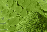 Moringa Powder (3.5 OZ - 100 GM)