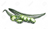 Fresh Snake Gourd (EACH)