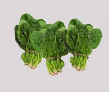 Baby Spinach - Bunch
