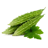 Indian Karela - 1 LB