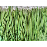 Fresh Drumstick (1 LB)