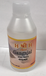 Shree Gangajal 100ml
