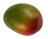 Kent Mango (1 PCS)