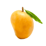 Indian Kesar Mango - EACH  (No Return - No Refund)