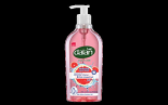 Dalan Multicare Moisturizing Hand Wash 2 in 1