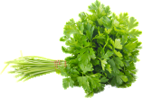 Cilantro(coriander,dhana) - Bunch