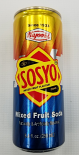 Hajoori Sosyo Soda Can 250 Ml