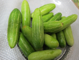 Tindora 1 LB