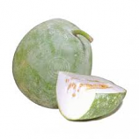 White Pumpkin - Each (APPROX 1.5 LB-2 LB)