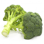 Fresh Broccoli Bunch