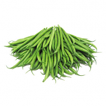 Organic French Green Beans (2 Lbs.)